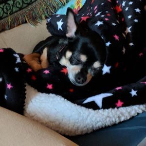 Meet your Posher, Nancy